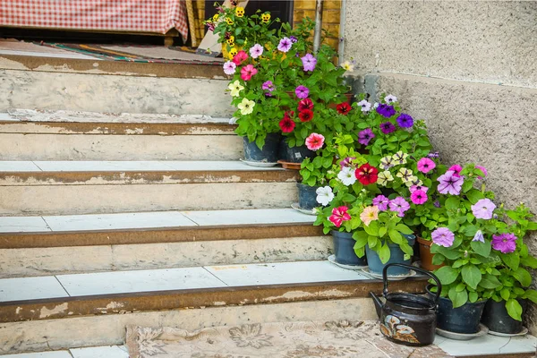 Flowers on the porch of the house