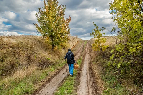 Hombre Viene Con Una Cesta Champiñones Camino Bosque Otoño —  Fotos de Stock