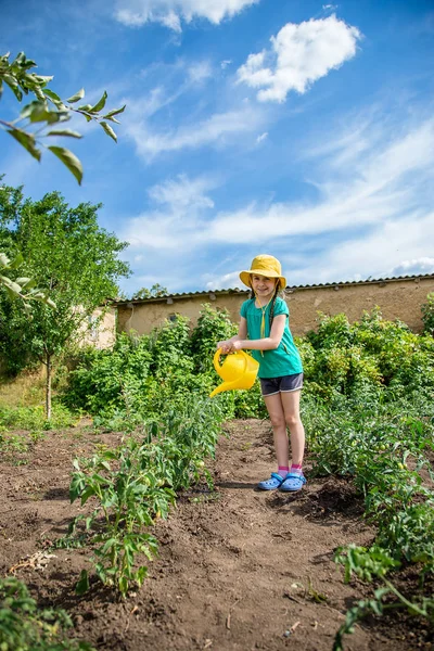 Berkebun Gadis Yang Baik Menyiram Tanaman Kebun Musim Panas — Stok Foto