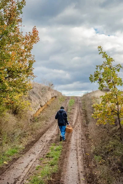 Adam mantar bir sepet ile yolda geliyor. Sonbahar orman.