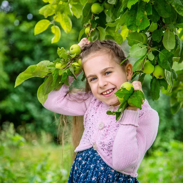 Cute Little Girl Picking Apples Green Grass Background Sunny Day — Stock Photo, Image