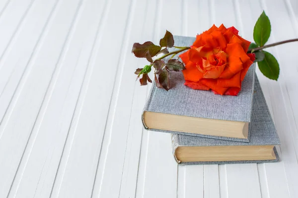 Κόκκινο Τριαντάφυλλο Λουλούδι Πάνω Από Ανοιχτό Βιβλίο Λευκό Φόντο Ξύλινη — Φωτογραφία Αρχείου