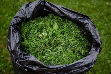 Tek geri dönüşüm çanta biçilmis bu bir çim dan çim kupürleri, dolu. Bahçe, bahar temizliği çalışması.