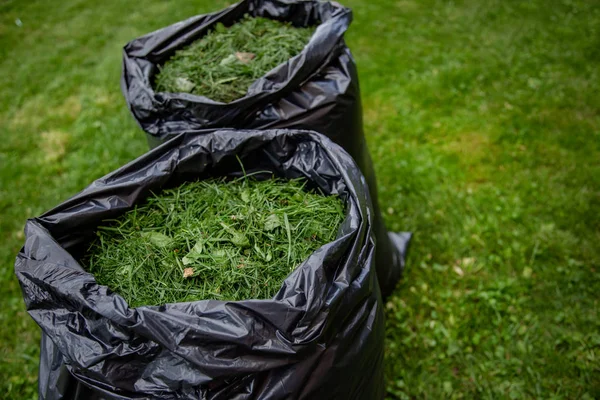 Ein Einziger Recyclingbeutel Voller Rasenschnitt Von Einem Rasen Der Gemäht — Stockfoto