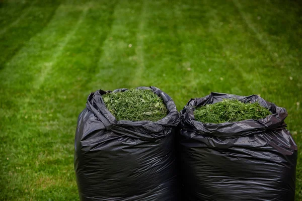 Ein Einziger Recyclingbeutel Voller Rasenschnitt Von Einem Rasen Der Gemäht — Stockfoto