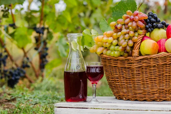 Fruta Orgânica Cesta Grama Verão Uvas Frescas Peras Maçãs Natureza — Fotografia de Stock