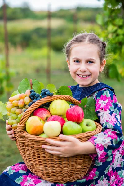 Seorang gadis kecil dengan keranjang, dengan apel merah dan anggur  . — Stok Foto