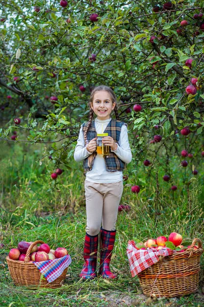 Beautiful Girl Organic Apple Garden Concept Harvest — Stock Photo, Image
