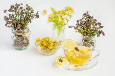 Ihlamur çiçek, bitki çayı, yüksek açı, bir metin için yer görüntüleyin. Beyaz bir arka plan üzerinde.