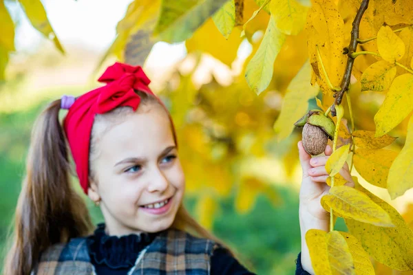 Cute Girl Walnuts Walnut Harvest Garden Colorful Blurred Walnut Located — Stock Photo, Image