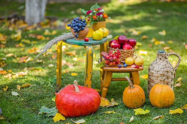 Autumn Scene Plants Pumpkins Apples Wicker Basket Ceramic Pots Wooden — Stock Photo, Image