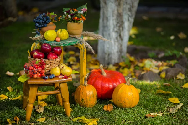 Herbstszene Mit Pflanzen Kürbissen Äpfeln Weidenkorb Keramiktöpfen Holzstuhl Vintage Stil — Stockfoto