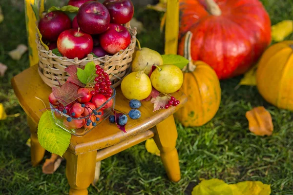 Herbstszene Mit Pflanzen Kürbissen Äpfeln Weidenkorb Keramiktöpfen Holzstuhl Vintage Stil — Stockfoto