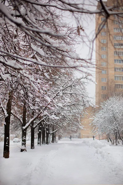 Winter landscape in the snowy city. City after a snowstorm, snow background.