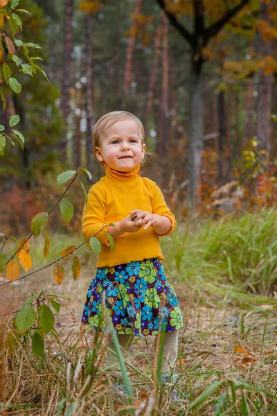 Happy Little Girl Walks Autumn Park Gathers Leaves Looks Out — Stock Photo, Image