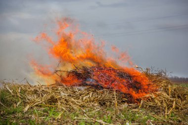 Yanan yapraklar, Bahçe temizlik sırasında yangın. Sonbahar işleri çiftlikte. Hacimli duman.