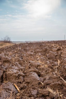 Traktörler, arazi çiftçilik ile tarım iş. Sonbahar çalışma alanında.