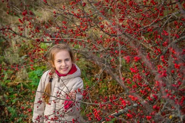 Portret Piękną Dziewczyną Czerwone Jagody Jesienne Kolory Natury Jesienią Czerwone — Zdjęcie stockowe