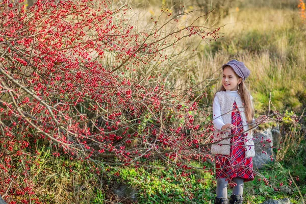 Portrait Beautiful Girl Red Berries Autumn Colors Nature Autumn Red — Stock Photo, Image