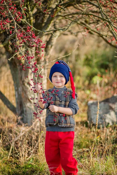 Portrait Cute Boy Red Berries Autumn Colors Nature Autumn Red — Stock Photo, Image