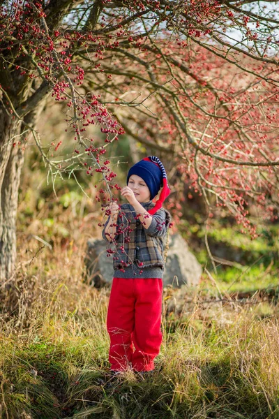 Portrait Cute Boy Red Berries Autumn Colors Nature Autumn Red — Stock Photo, Image