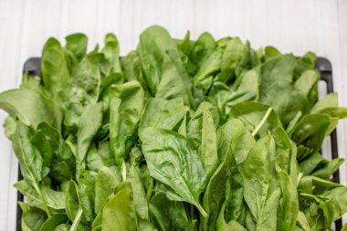 Ispanak ahşap beyaz masaya bırakır. Besleyici ve sağlıklı sebze Yeşiller.