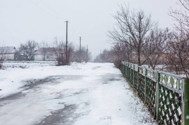 Donmuş ağaç dalları beyaz pullu buzla kaplı. Sezon frost, terk edilmiş hasat.