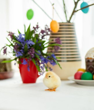 Boyalı yumurta ve Paskalya dekor zemin üzerine Paskalya kek yakınındaki bir canlı tavuk. Mutlu Paskalya ve şenlikli ruh hali.