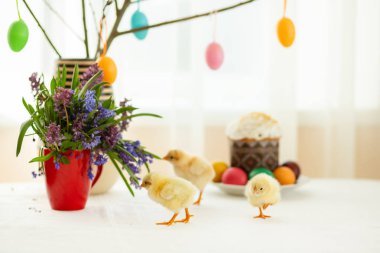 Canlı Paskalya kek boyalı yumurta ve Paskalya dekor zemin üzerine yakınındaki sarılmak. Mutlu Paskalya ve şenlikli ruh hali.