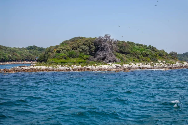 Small Deserted Uninhabited Island in Adriatic Sea. Travels in Europe.