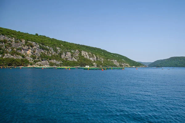 Tour por la costa adriática. Fiordo de Limski en Istria. Mar Adriático — Foto de Stock