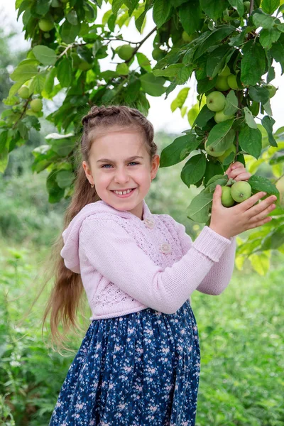Gadis Kecil Yang Lucu Cabang Pohon Apel Musim Panas Yang — Stok Foto