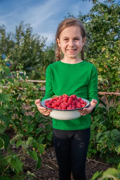 Gadis manis dengan semangkuk raspberry matang di taman . — Stok Foto