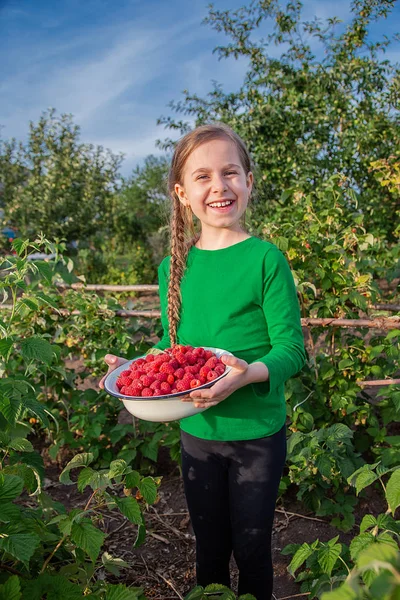 Gadis manis dengan semangkuk raspberry matang di taman . — Stok Foto