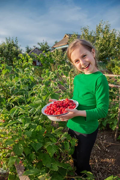 Gadis manis dengan semangkuk raspberry matang di taman . — Stok Foto