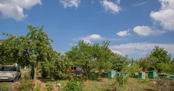 Panorama de verano de una casa rural y jardín . — Foto de Stock