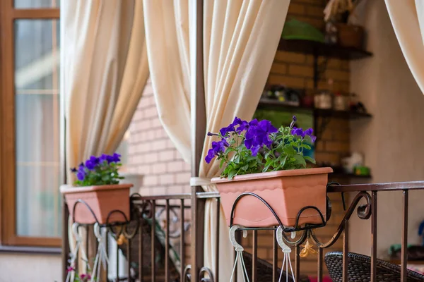 Flowers in hanging pots on the porch of the house. — Stock Photo, Image