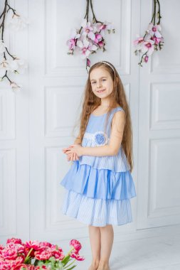 Güzel mavi gözlü kız, bahar çiçekleri parlak bir odada arasında küçük bir kız portresi.
