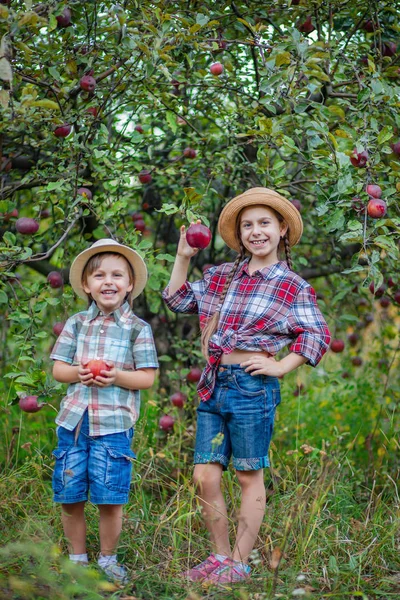 Potret saudara dan saudari di taman dengan apel merah . — Stok Foto