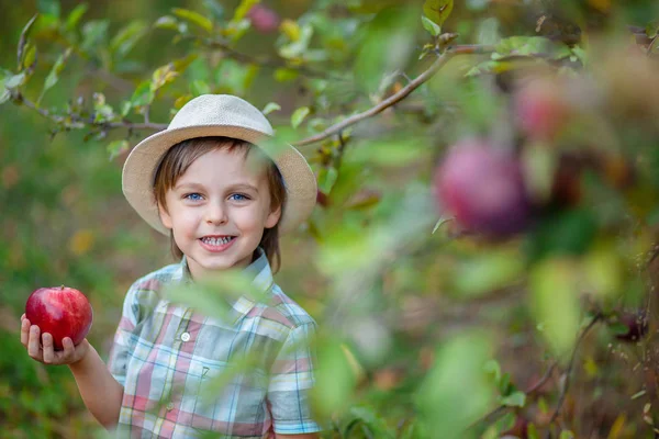 Portrait of a cute boy in the garden with a red apple. — Stock Photo, Image