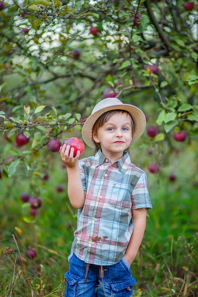 Porträt eines süßen Jungen im Garten mit einem roten Apfel. — Stockfoto