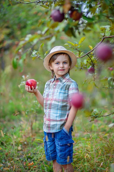 Портрет милого мальчика в саду с красным яблоком . — стоковое фото