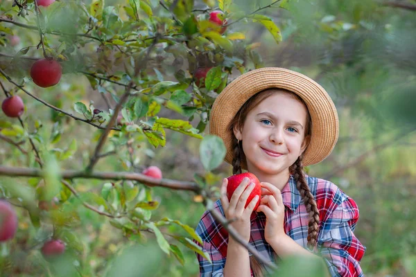 Potret seorang gadis cantik di sebuah kebun dengan apel merah . — Stok Foto