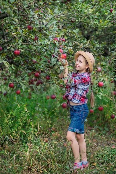 Portrait of a cute girl in a farm garden with a red apple. — Stock Photo, Image