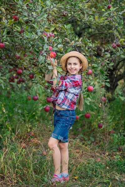 Portrait of a cute girl in a farm garden with a red apple. — Stock Photo, Image