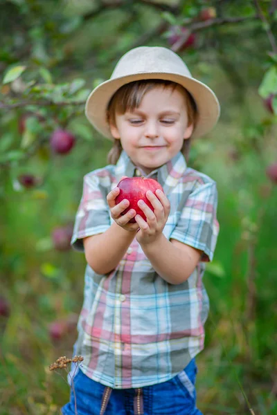 Porträt eines süßen Jungen im Garten mit einem roten Apfel. — Stockfoto