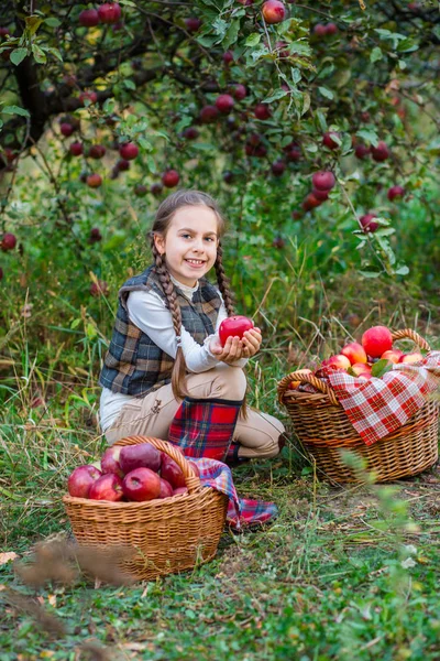 Portrait of a cute girl in a farm garden with a red apple. — Stock Photo, Image