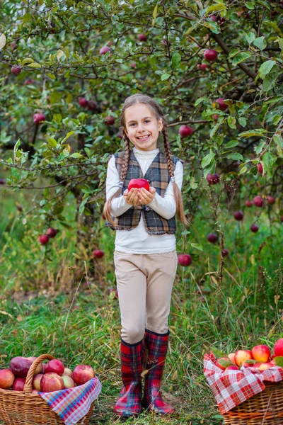 Portrait of a cute girl in a farm garden with a red apple. — Stock Photo, Image