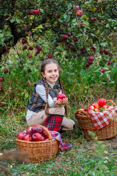 Potret seorang gadis cantik di sebuah kebun dengan apel merah . — Stok Foto