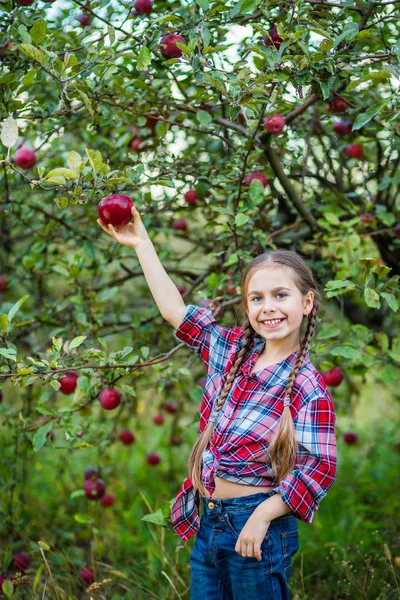 Potret seorang gadis cantik di sebuah kebun dengan apel merah . — Stok Foto